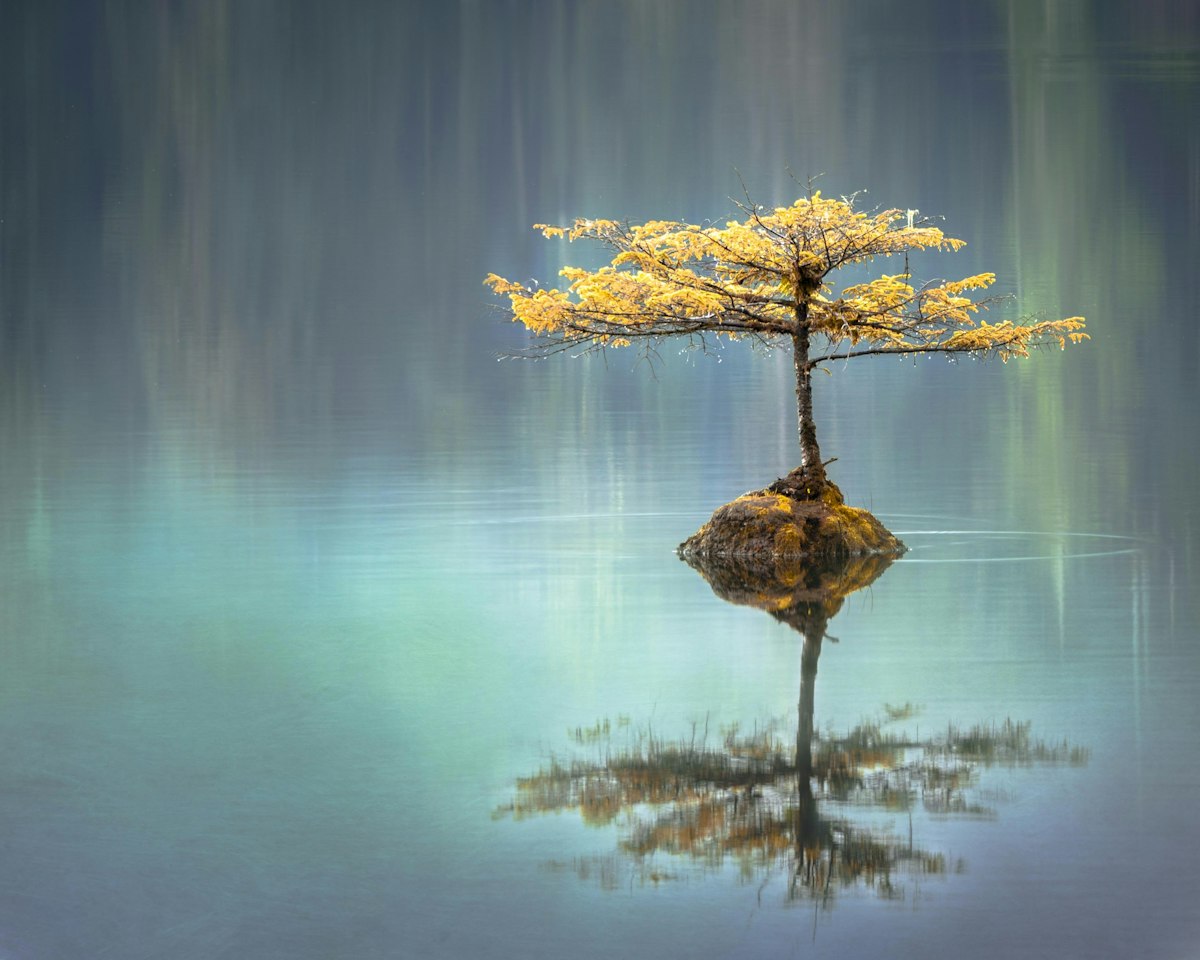 Mindfulness para Jogadores: Como Observar o Impulso de Jogar Sem Agir